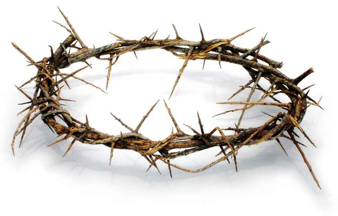 The crown of thorns 
Pope Pius sent to 
Jefferson Davis