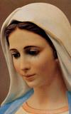 Mary Our Mother Intercede for us